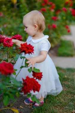 Çayırda gülümseyen kız kameraya bakıyor.