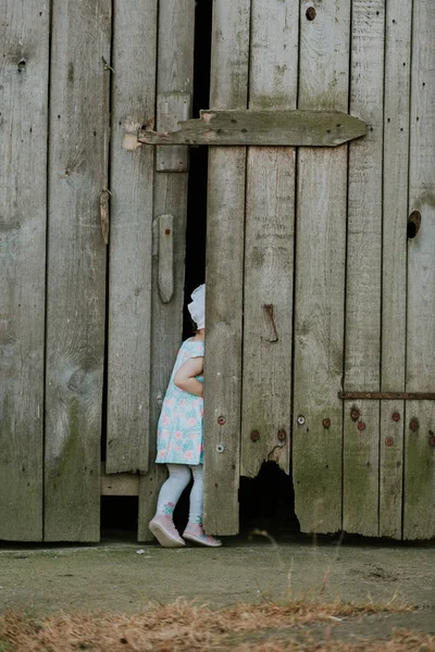 Curiuos kind boer spelen in schuur met kat in rustieke pluimvee huis in platteland boerenerf landbouw Lifestyle — Stockfoto