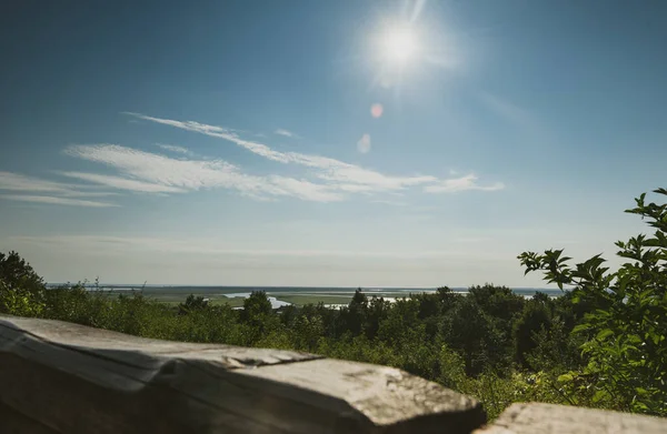 Skogslandskap och översvämning i fjärran — Stockfoto