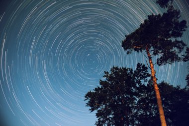 Yıldızlı gökyüzünün altında gökyüzünde startrails