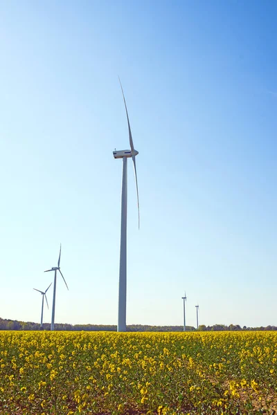 明亮的蓝天在移动，风力涡轮机 — 图库照片