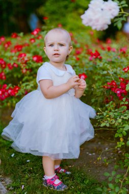 Çayırda gülümseyen kız kameraya bakıyor. otantik im