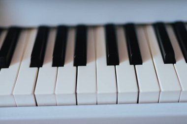 Piyano klavyesini kapat. Aletlerin beyaz ve siyah tuşları