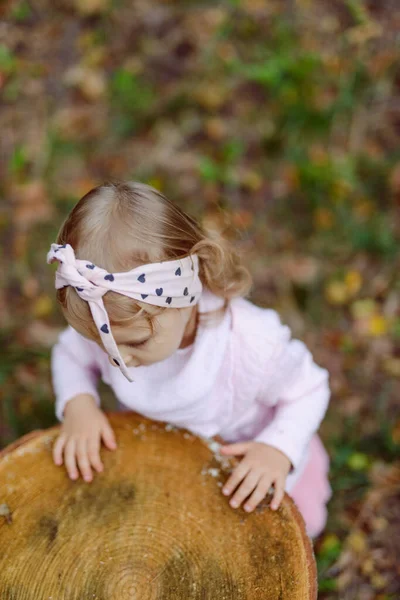 Piękna Dziewczynka Bawiąca Się Parku Słoneczny Dzień Jesienny Dzień — Zdjęcie stockowe