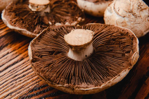 Bileşimi zeytinyağı, mantar, ahşap arka planda sarımsak. sağlıklı yiyecekler