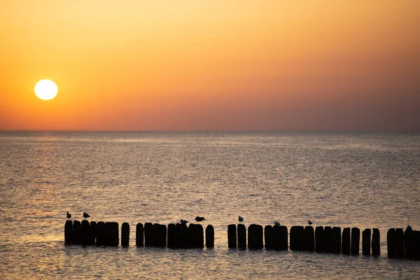 Mar Báltico Hermosa Puesta Sol Playa Miedzyzdroje Ciudad Donde Celebra — Foto de Stock