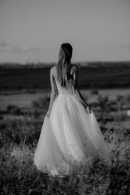 Gelin ve damat doğadaki bir fotoğraf çekiminde..