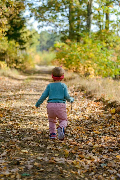 Adorable Chica Divirtiéndose Hermoso Día Otoño Imagen Auténtica Infancia — Foto de Stock