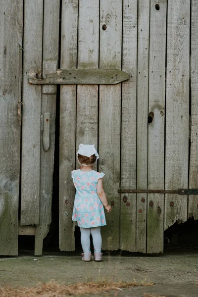 Curiuos Çocuk Çiftçi Kırsal Çiftlik Tarım Yaşam Tarzı Rustik Kümes — Stok fotoğraf