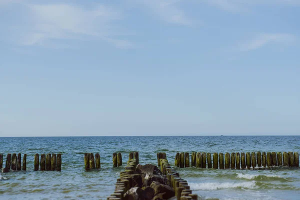 Breakwaters Baltském Moři Létě — Stock fotografie