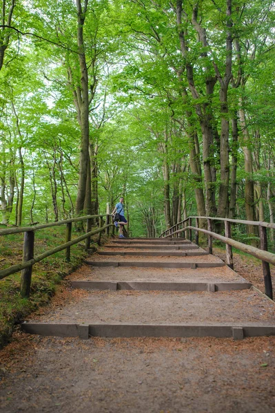 Vandringsled Skogen Tidigt Våren — Stockfoto