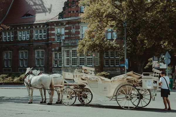 Horse Carriages Waiting Customers Central Park Szczecin — Stock Photo, Image