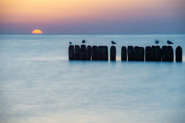 Tramonto Sulla Spiaggia Del Mar Baltico Paesaggio Marino Con Frangiflutti — Foto Stock