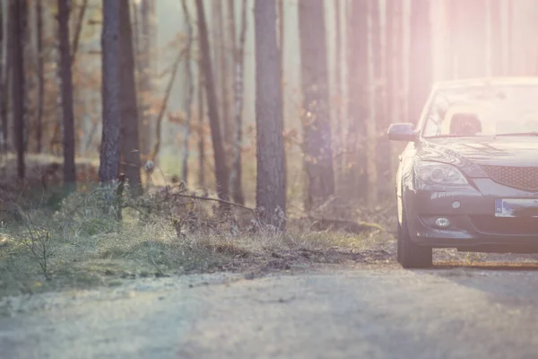 Coche Hatchback Gris Estacionado Junto Bosque — Foto de Stock