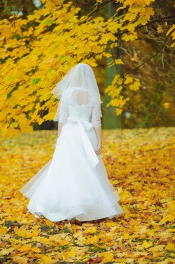 Gelin ve damat doğadaki bir fotoğraf çekiminde..