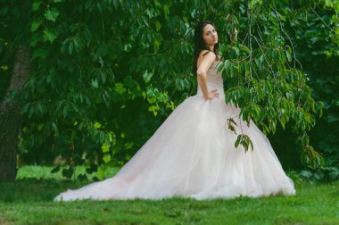 Beyaz elbiseli gelin yeşil bir ağacın arkasında. Gelinin yürüyüş ve fotoğraf çekimi.