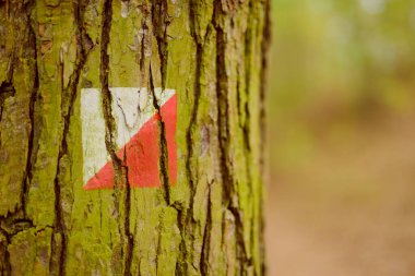Kuzey Carolina ormanlarında turuncu yürüyüş yolu tabelası.