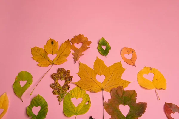 Hintergrundgruppe Herbst Orange Grüne Gelbe Und Braune Blätter Mit Der — Stockfoto