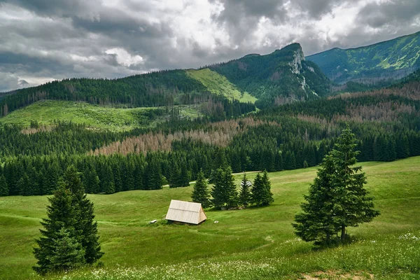  Bahar salonu Polonya Tatra Dağları'nda bir dağ Hut'ta