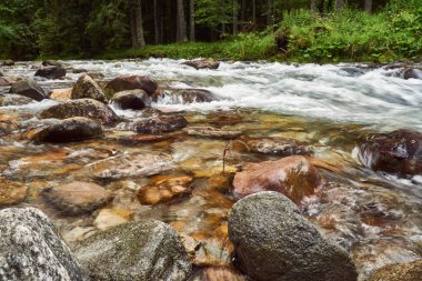 Polonya Tatra Dağları vadide bir dağ dere
