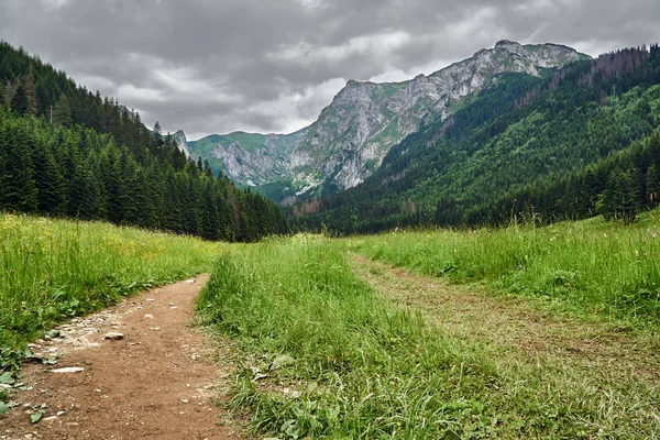 Polonya 'da Tatra Dağları Dağları 'nda bahar vadisinde ülke yolu