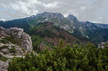 Dağ tepe Giewont kalker kayalar dağlarda Tatry Polonya ile