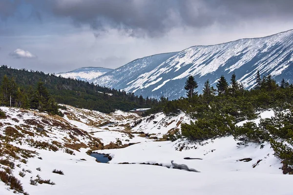 Valley Stream Spring Giant Mountains Poland — стоковое фото