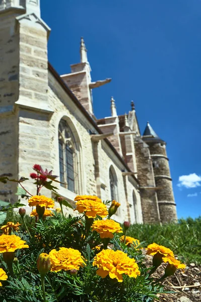 法国夏季的五颜六色的花朵和的哥特式教堂 — 图库照片