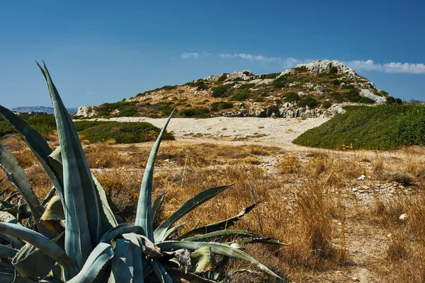 Agave Penhasco Rochoso Ilha Rodes — Fotografia de Stock