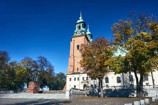 Άγαλμα Και Καθεδρικός Ναός Εκκλησία Gniezno Πολωνία — Φωτογραφία Αρχείου
