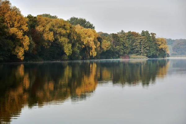 Uma Floresta Decídua Junto Lago Durante Outono Polônia — Fotografia de Stock