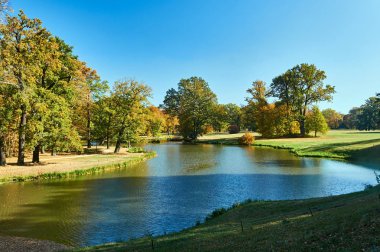 gölet ve sonbahar sırasında Muskauer Park Almanya'da Bahçedeki ağaçlar