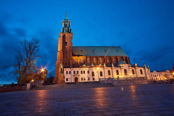 Szobor Gótikus Katedrális Templom Éjszaka Gniezno — Stock Fotó