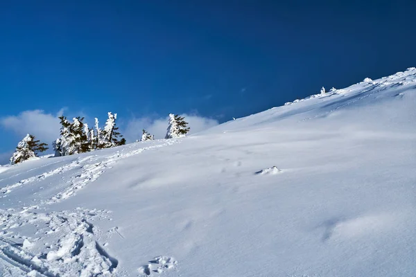 Hóval Borított Turistaút Lengyelországi Óriáshegységben — Stock Fotó