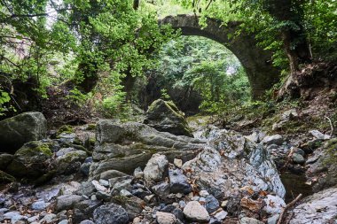  Yoğun bir orman Yunanistan'da Bizans Bridge'de taş kalıntıları