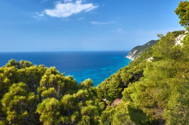 Çam ağaçları uçurumdan denizden Lefkada Yunan Adası üzerinde