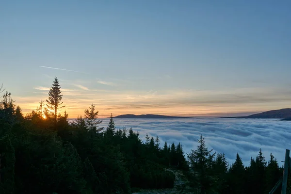 Clouds Fog Coniferous Forest Mountains Giant Mountains Poland — Stock Photo, Image