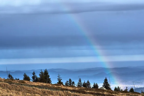 Rainbow over the coniferous forest in the Giant Mountains in Poland