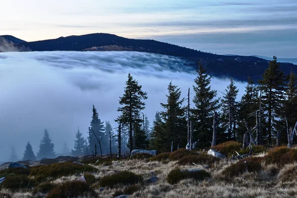 Mraky Mlha Nad Jehličnatým Lesem Horách Krkonoš Polsku — Stock fotografie