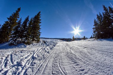Kışın Beskidy Polonya Ladin dağlarda kar kaplı