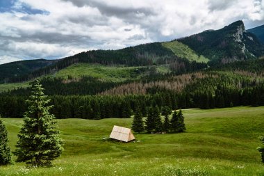 Teleferik ile bir çoban kulübe Polonya Tatras dağlarında çayır üzerinde