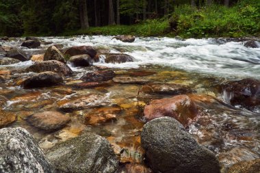 Polonya Tatra Dağları vadide bir dağ dere