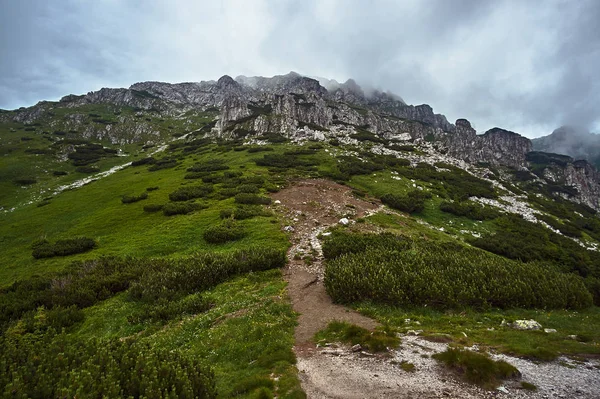 Uma Encosta Montanha Com Pinheiro Montanha Pedras Calcárias Nas Montanhas — Fotografia de Stock