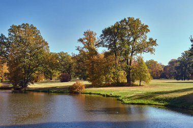 gölet ve sonbahar sırasında Muskauer Park Almanya'da Bahçedeki ağaçlar