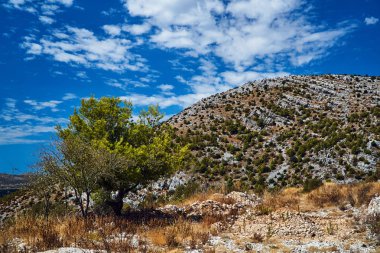 Hırvatistan'daki Dinaric dağlarda Mosor massif kayalarda
