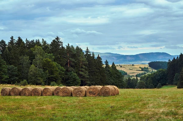 Paisaje Rural Con Prado Bosque Las Montañas Polonia — Foto de Stock