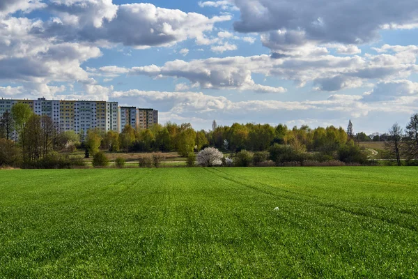 Meadows Arable Fields Housing Estate Spring Poznan — 图库照片