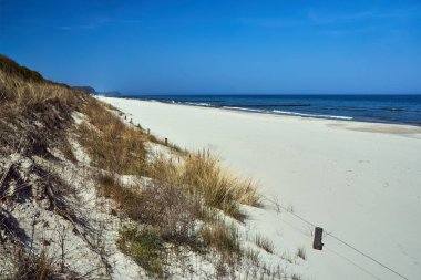 Kum tepeleri ve bir plaj Usedom adasında Baltık Denizi yanında