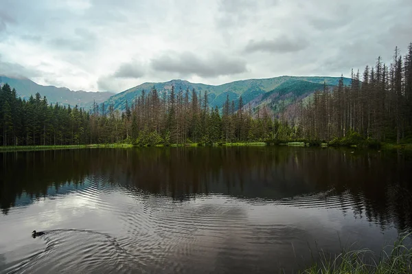 Nacheiszeitliche See Smreczynski Teich Frühling Den Bergen Der Tatra Polen — Stockfoto