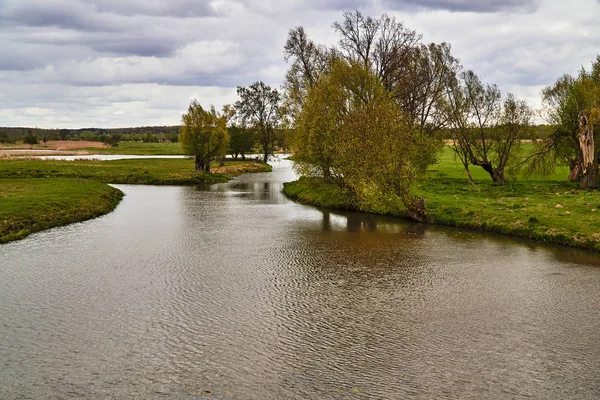 Prati Specchi Acqua Alla Palude Alla Foce Del Fiume Warta — Foto Stock